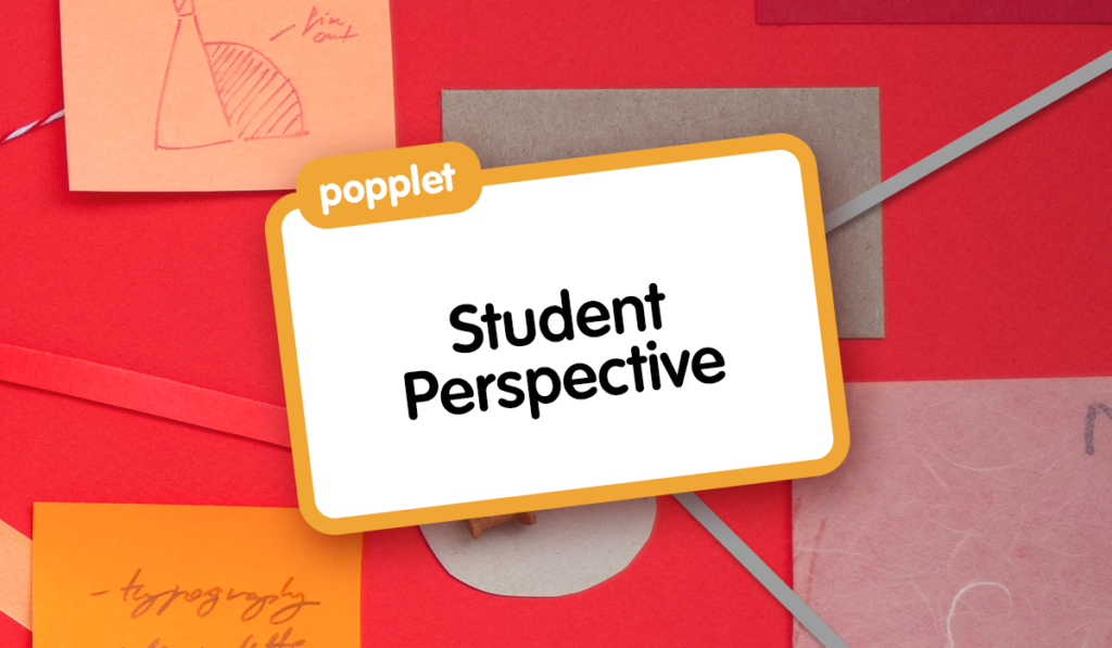 Student Perspective